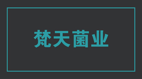 食品行业铜川冲锋衣设计款式